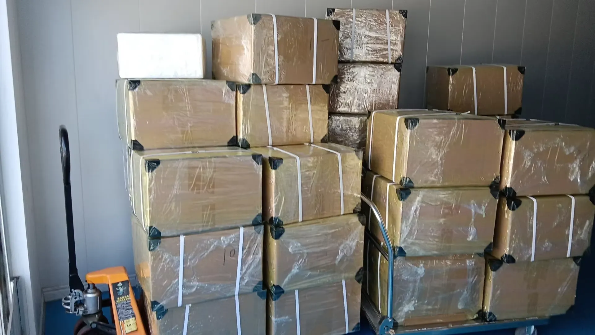 Prepared export shipments for aesthetic medical products